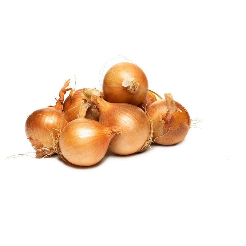 בצל לבן Onion