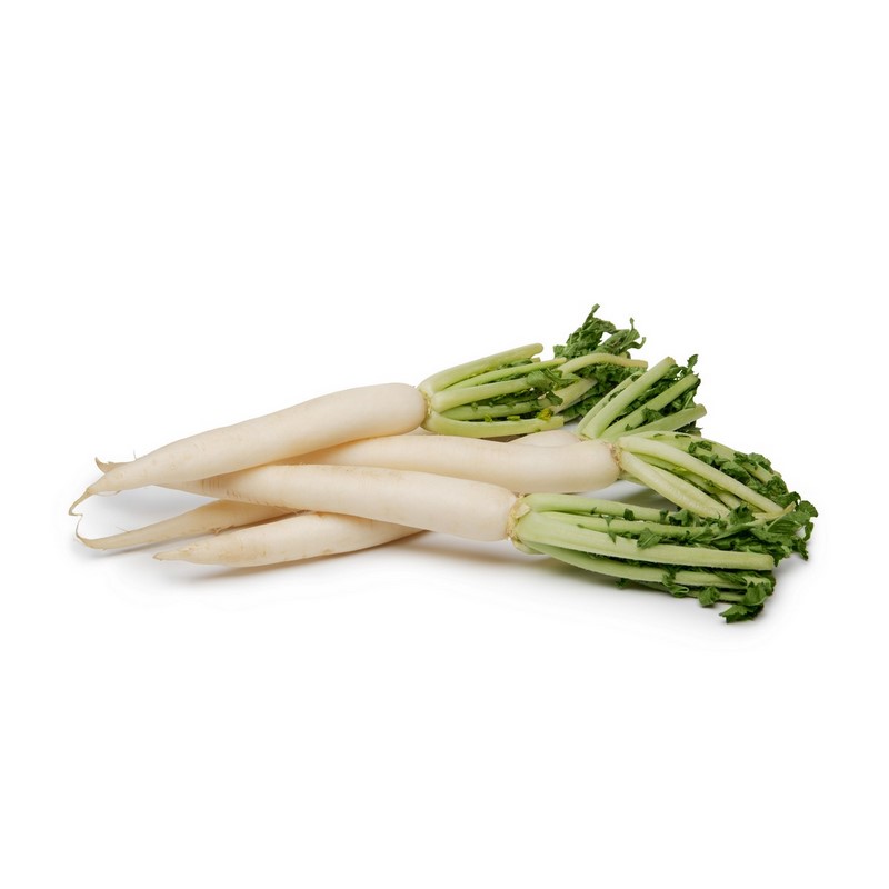 צנון יפני דייקון Daikon