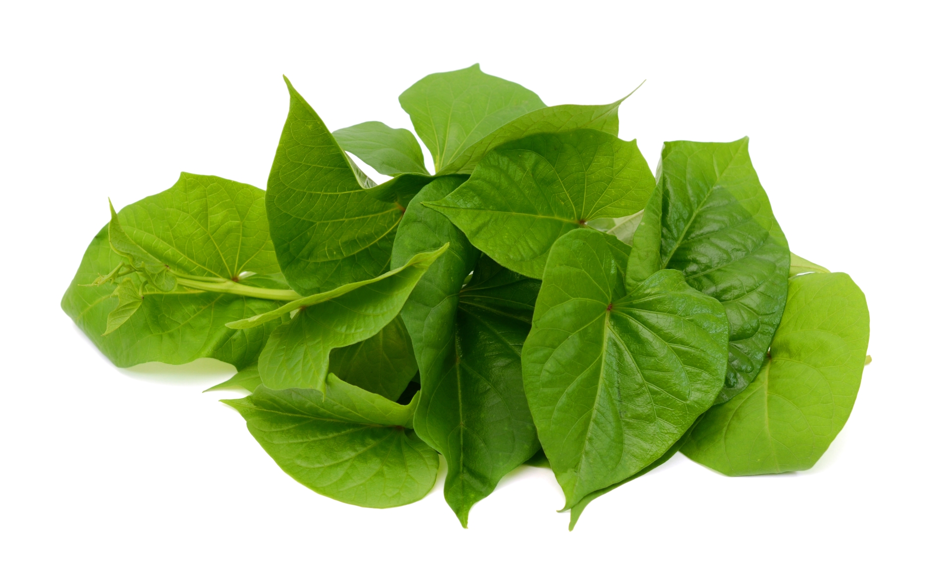 עלי בטטה Sweet Potato Leaves